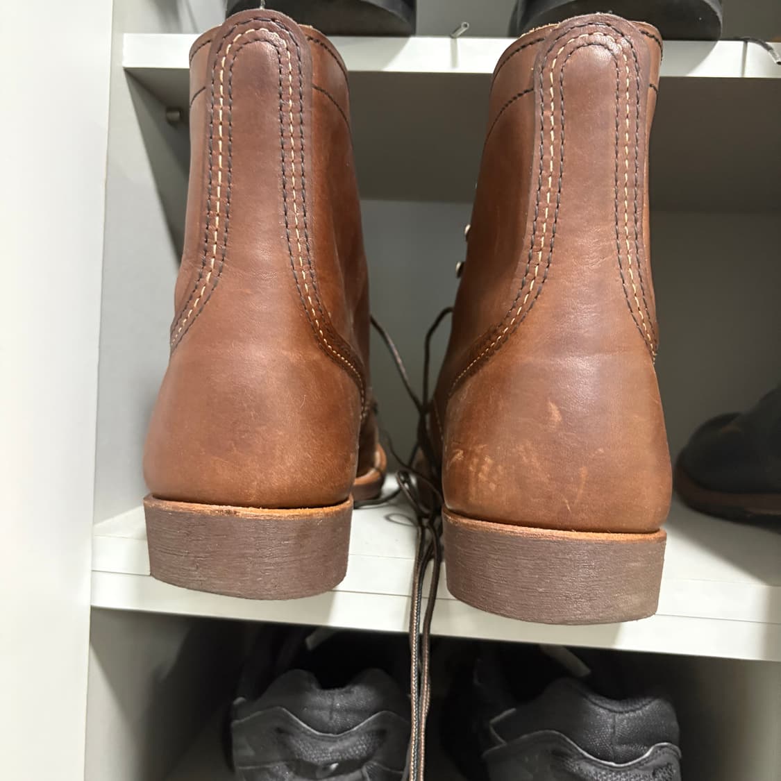 레드윙 아렌 8111 275사이즈 상품이미지9