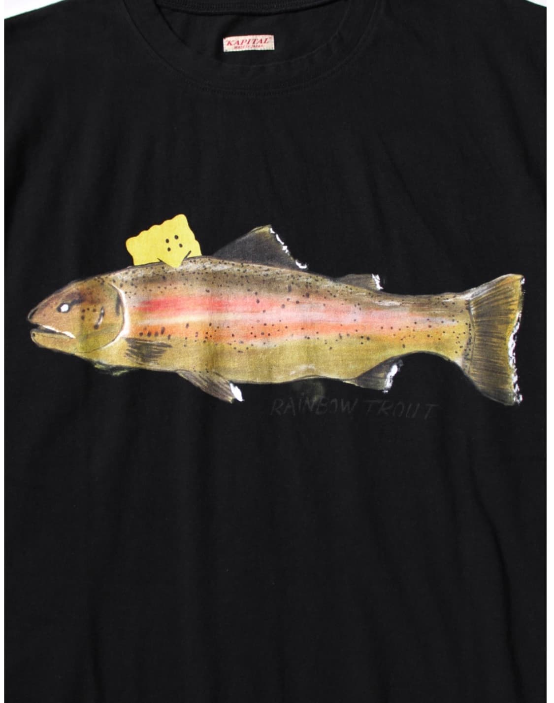 캐피탈(KAPITAL) 20저지 크루 티셔츠 1트라우트, 패키쉬 레인보우 상품이미지5