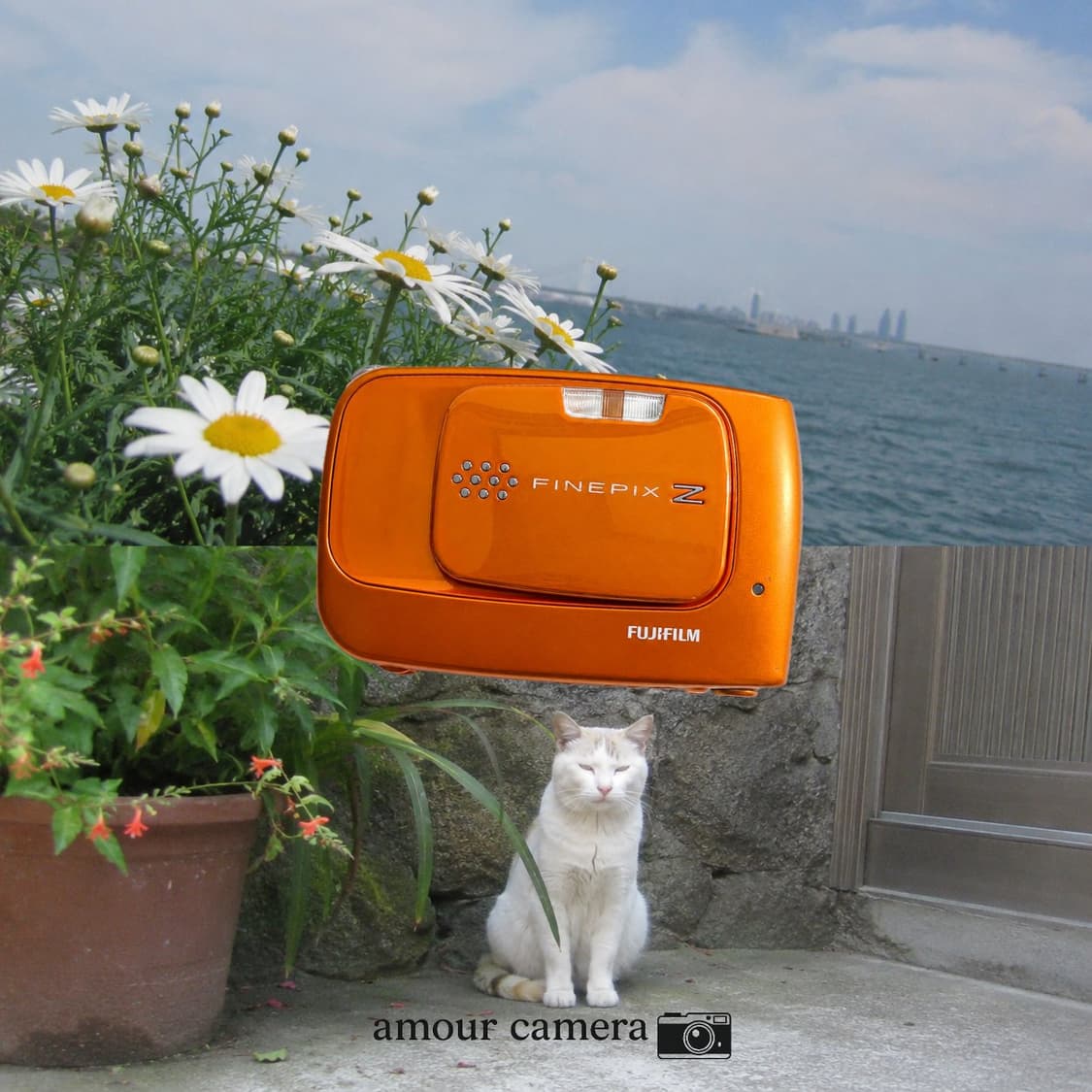 ​📸 [희귀 컬러/귤픽스] 후지필름 파인픽스(FinePix) Z30 오 상품이미지1