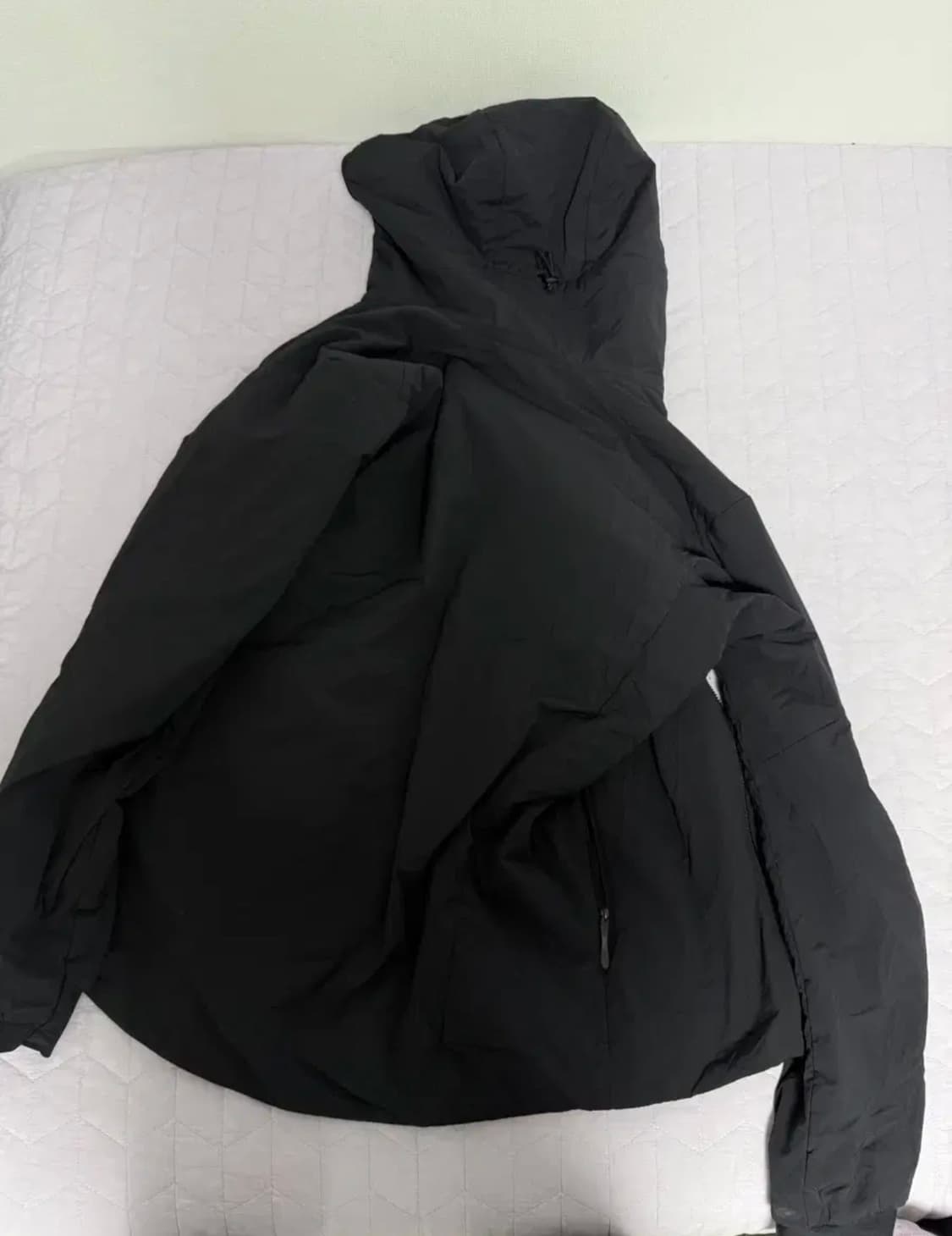 아크테릭스 프로톤 후디 s사이즈 상품이미지2