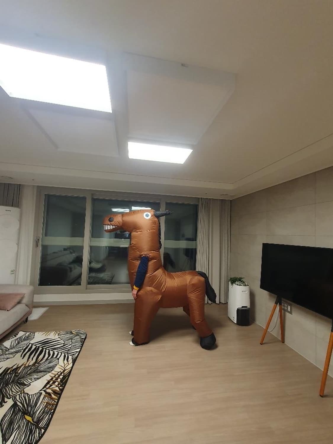 에어슈트 말 코스튬 상품이미지3