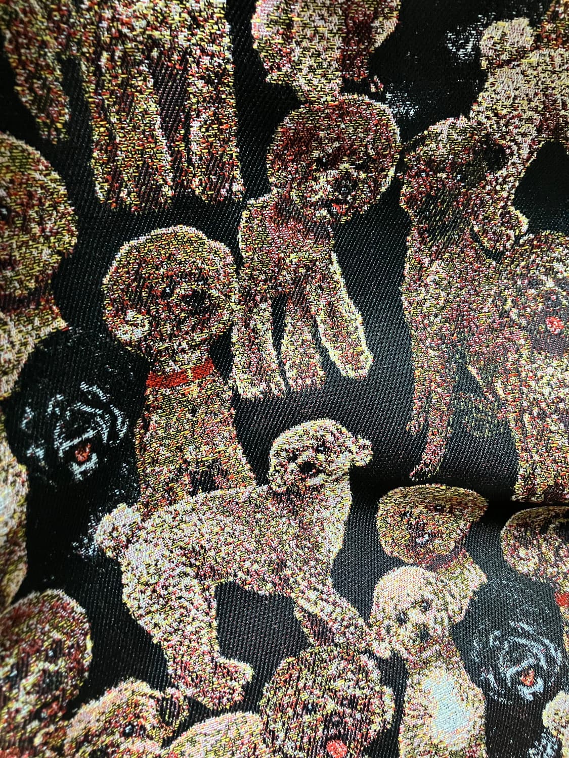 BOCBOK 복복 POODLE JACQUARD PANTS (MULTI) 상품이미지7