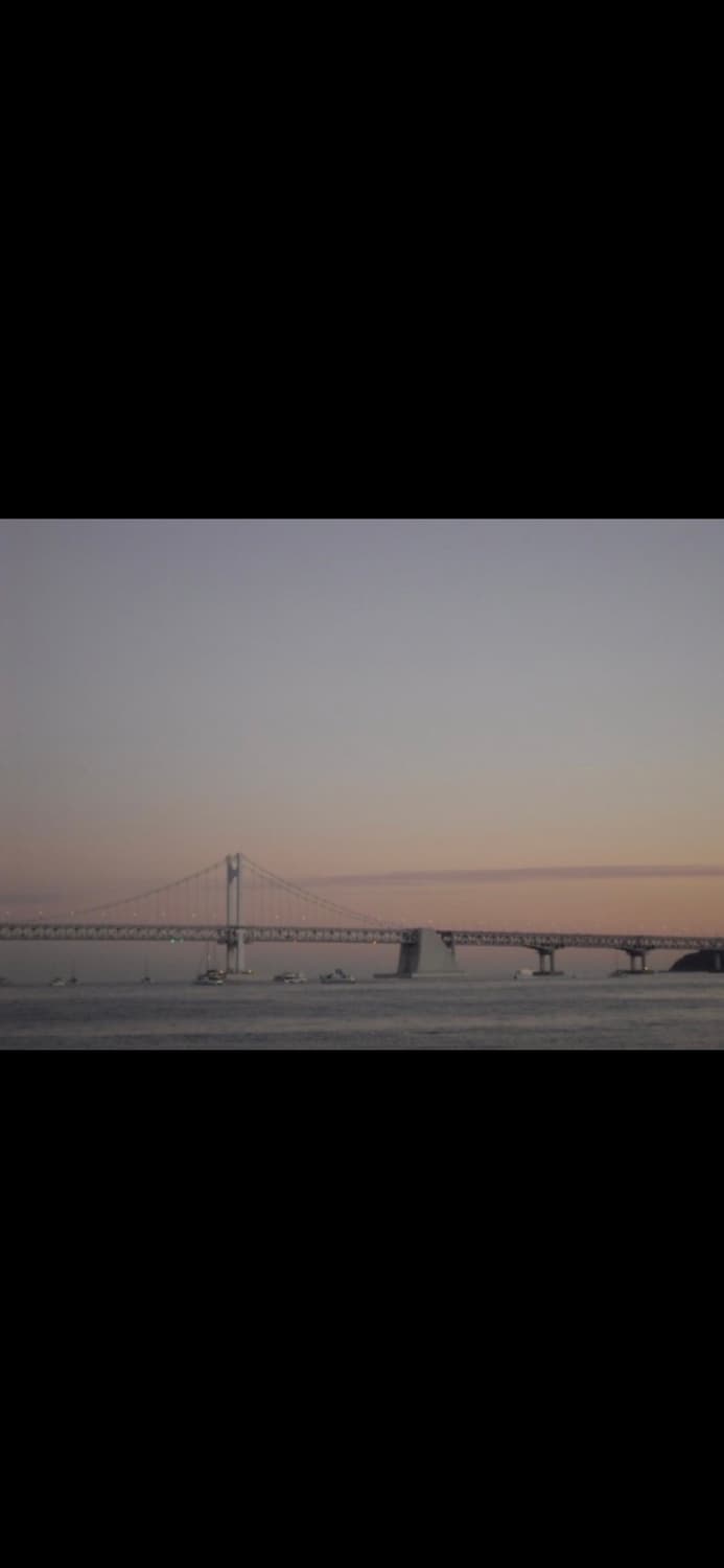 Samsung VLUU PL100 한효주 디카 캠코더 상품이미지2