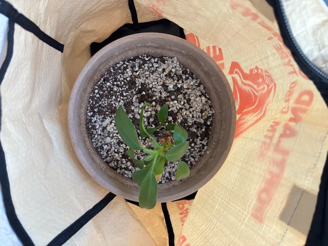 Apache hand made 에코백  상품이미지4