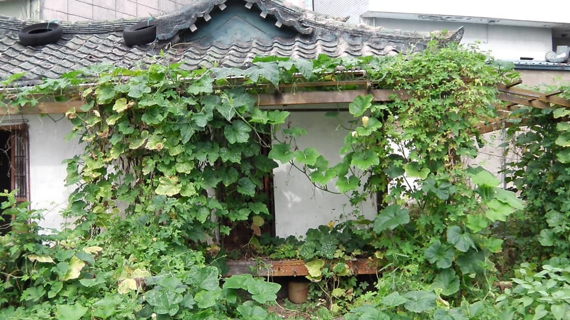 파나소닉 hx-wa10 오렌지 상품이미지10