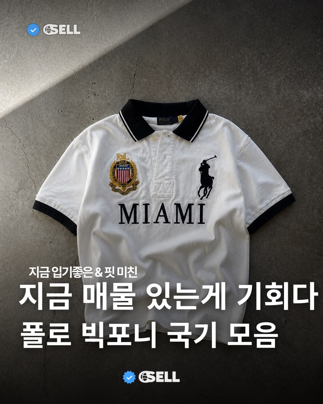 지금 매물 있는 게 기회다, 폴로 빅포니 국가라인 모음 상품이미지1