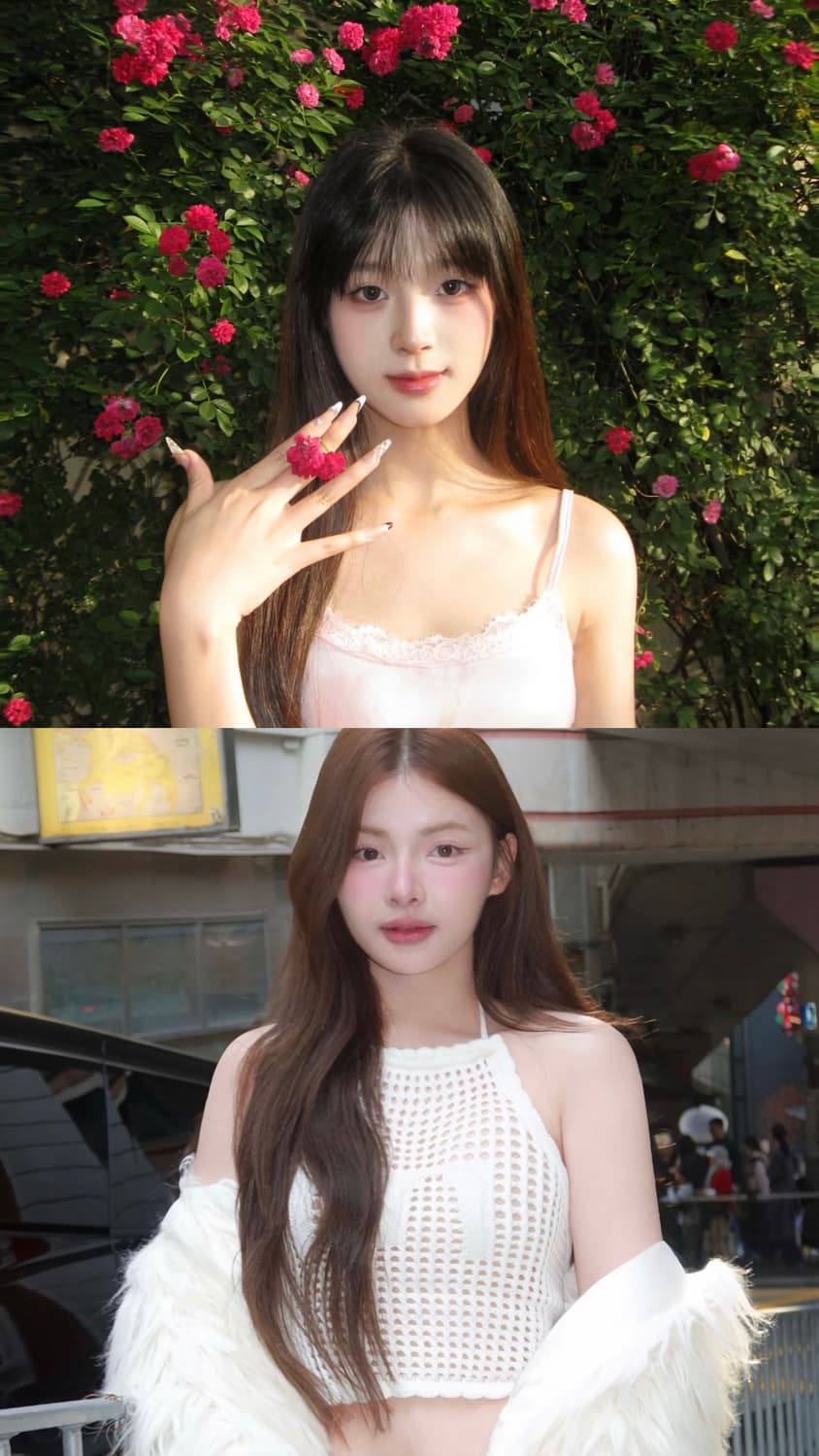 작례⭕️)캐논 ixy 810 = ixus 950 카메라🩷/한글⭕️ 상품이미지10