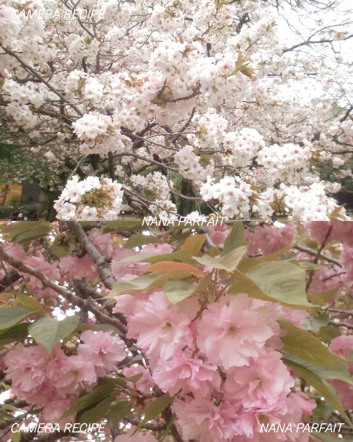 풀박스💖메이크업모드, 작례있음 / Casio Exilim ex-z270 상품이미지4