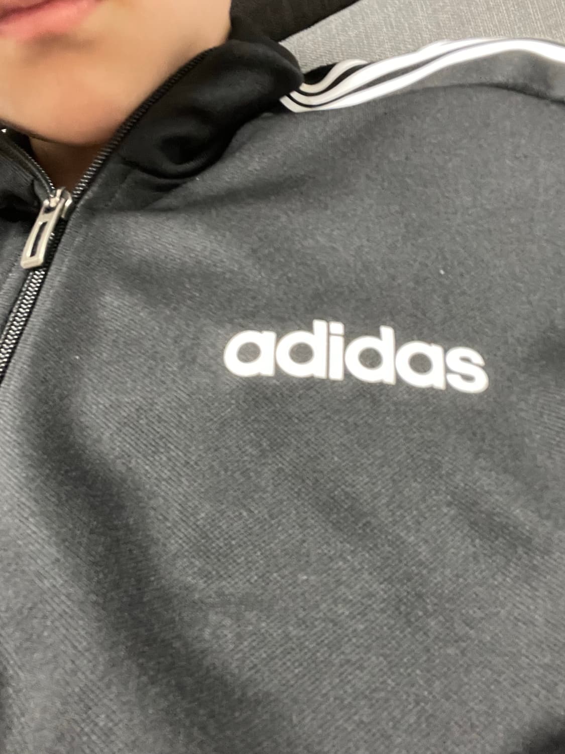 차강케 판매  상품이미지1