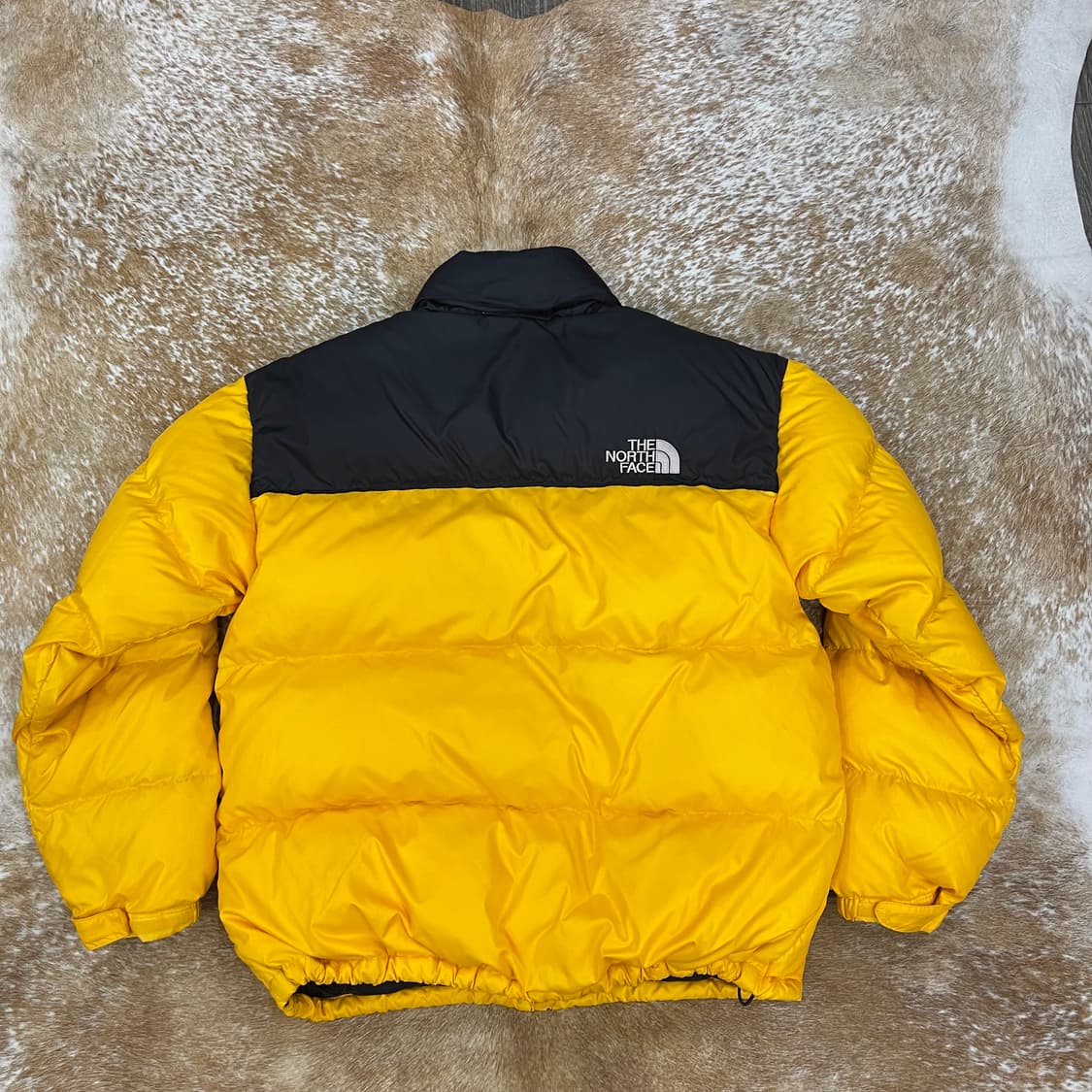 노스 검노700 상품이미지10