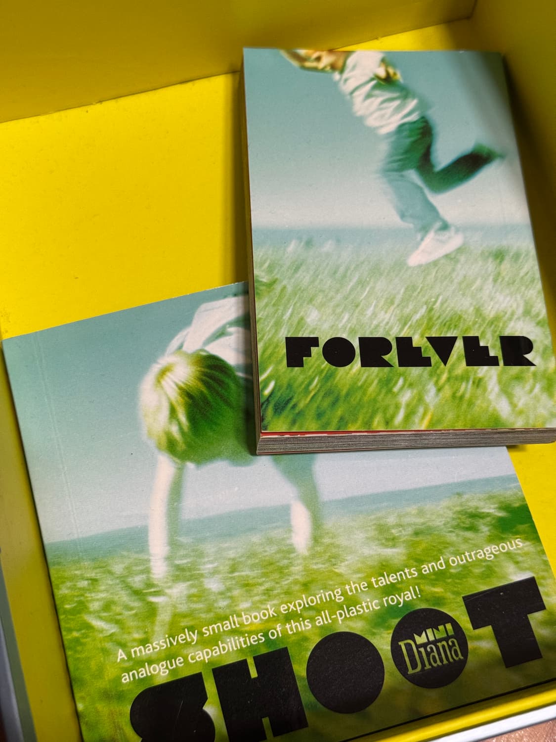 로모그래피 다이아나 미니 상품이미지2