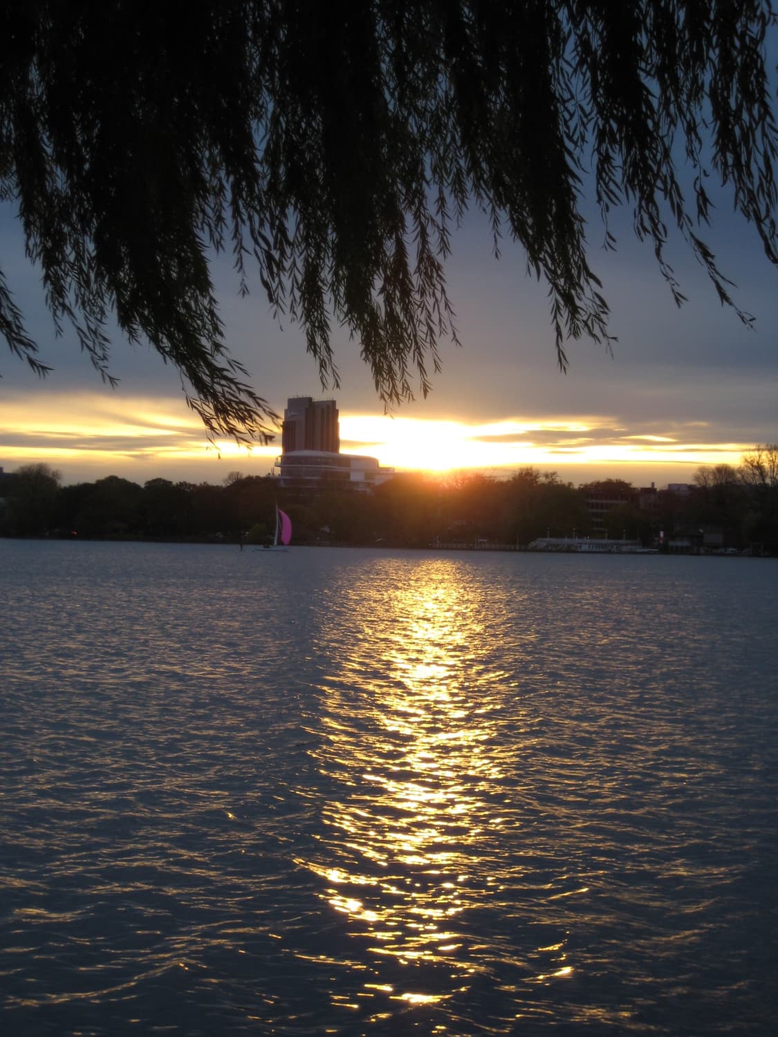 인플루언서&초희귀!) Canon IXUS 210 디카 카메라 상품이미지6