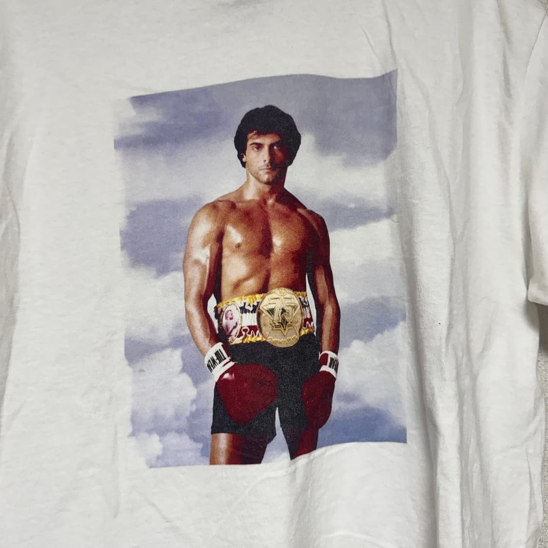 GILDAN 록키 발보아 반팔티 M 상품이미지3