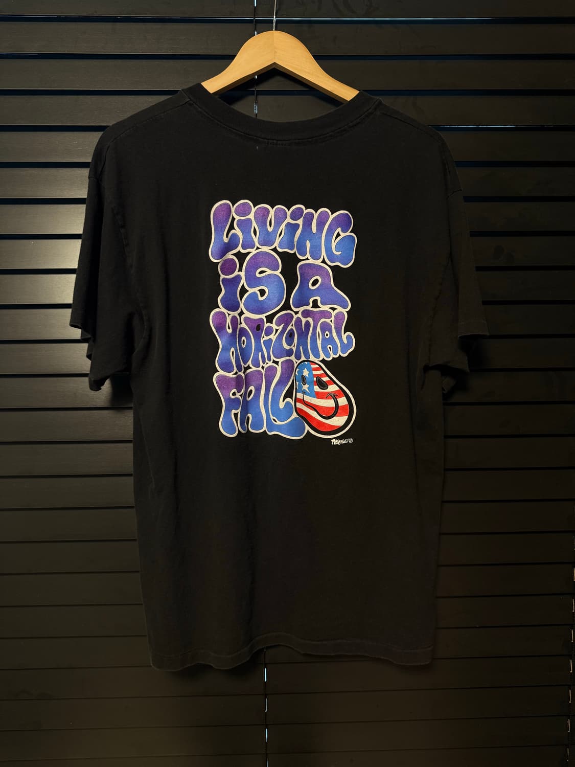 90s 블랙크로우즈 밴드 반팔 티셔츠 USA 상품이미지6