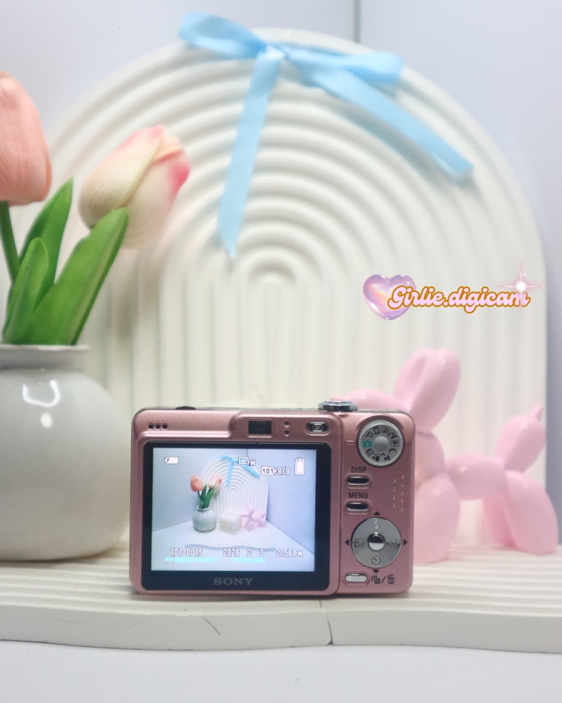 베이핑크+휘귀 !)) 소니 사이버샷 W55 상품이미지5
