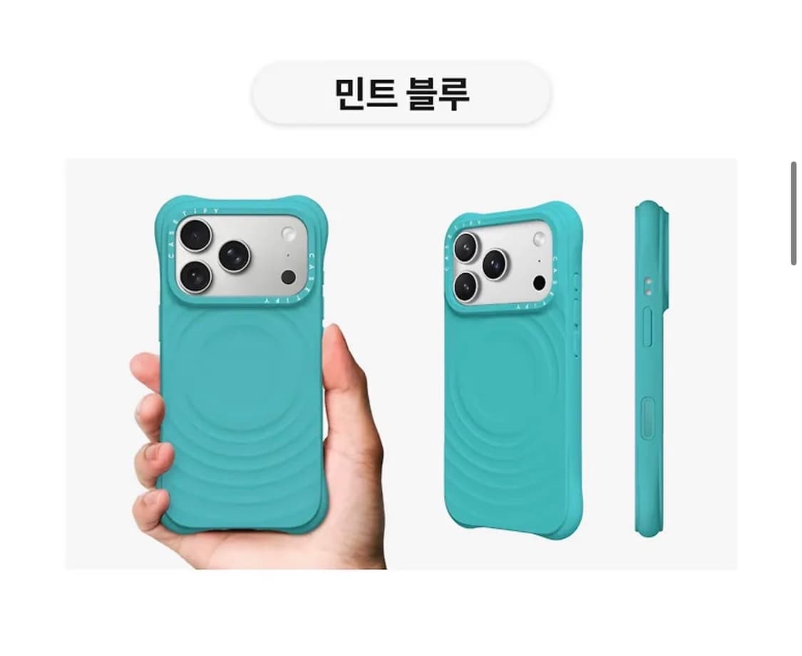 케이스티파이 17프로맥스 멀버리 상품이미지3