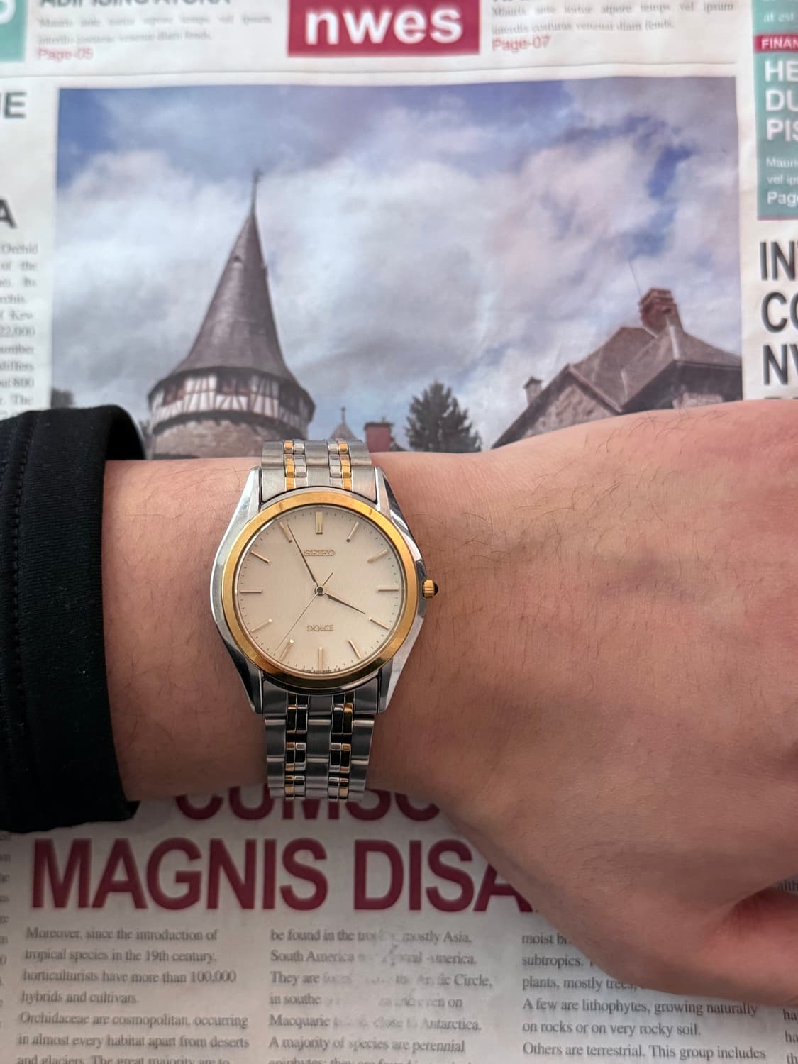 세이코 Seiko Dloce 클래식 콤비 상품이미지4