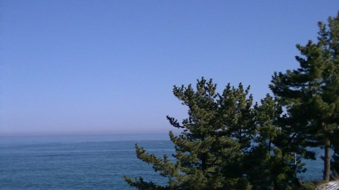 특가 / 작례 0 / 인기 기종 / jvc hm33 빈티지 카메라 실버 상품이미지7