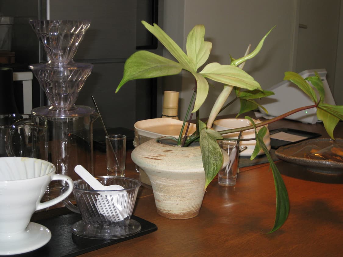 Canon ixus 90 is ✨ 상품이미지6