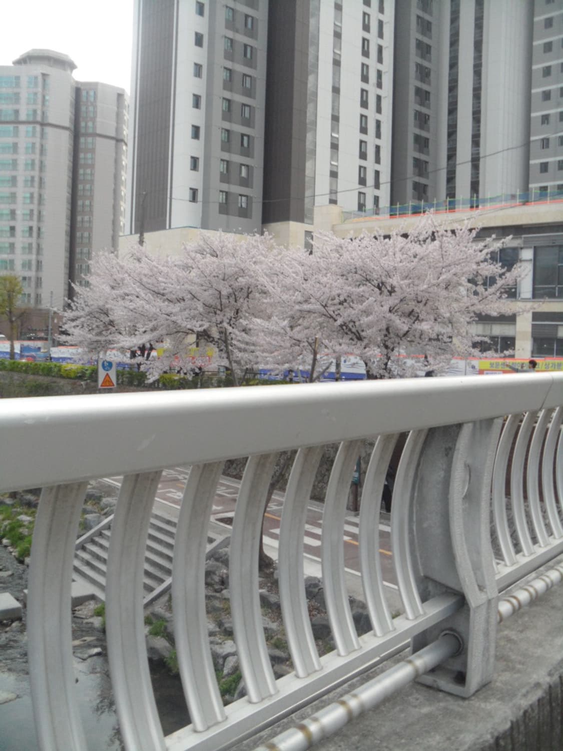 삼성 VLUU ST80 디지털 카메라 / 작례 상품이미지8