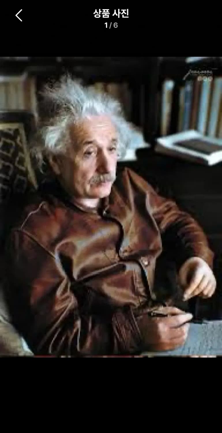 [L, XL]LVC 리바이스 아인슈타인 자켓 Menlo  상품이미지1