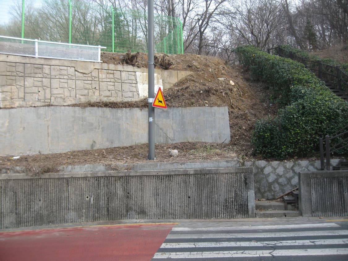 캐논 익서스ixus 900ti 디카 (빈티지 카메라) 상품이미지8