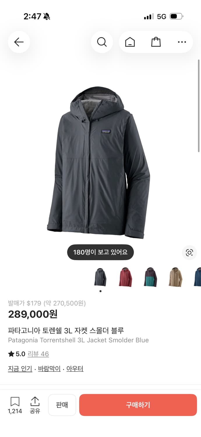 파타고니아 토렌쉘 스몰더 블루 M 사이즈 상품이미지1