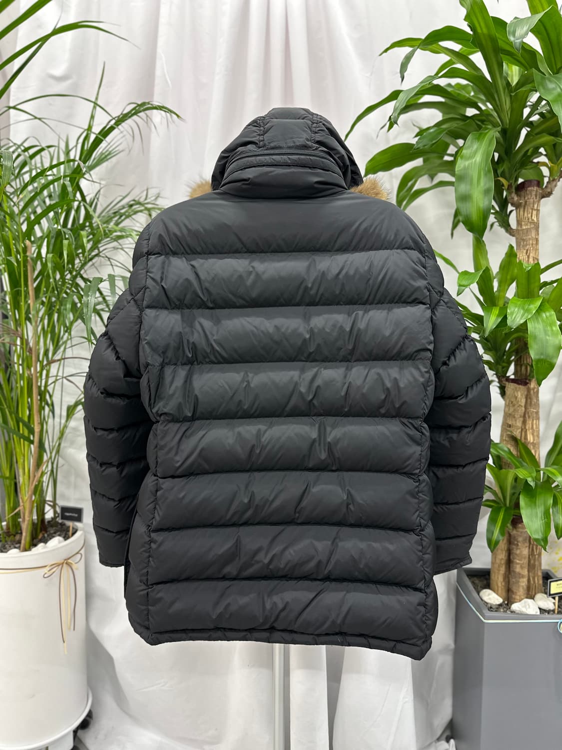 [정품]몽클레어 클루니 6 상품이미지4