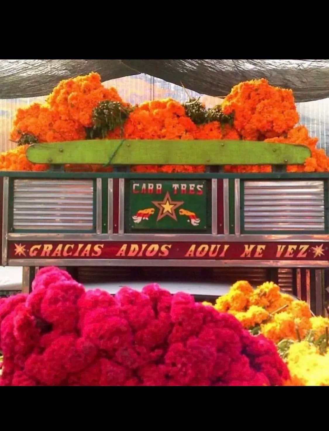 폴라로이드 is048 디지털카메라 상품이미지7