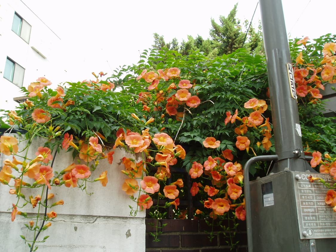 올림푸스 뮤 400 디지털카메라 디카 빈티지디카 상품이미지5