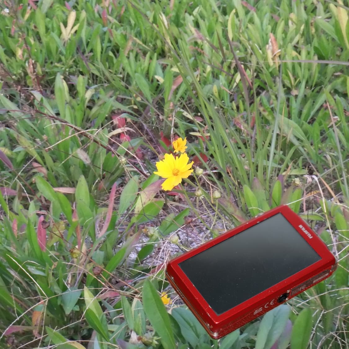 Finepix Z800exr (✨A급/🎁풀패키지) 상품이미지5