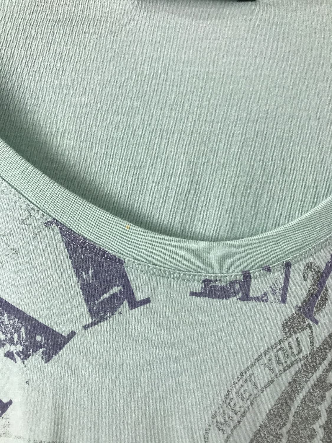 'Maison Gilfy' Eagle Graphic Mint Hoodie 상품이미지9