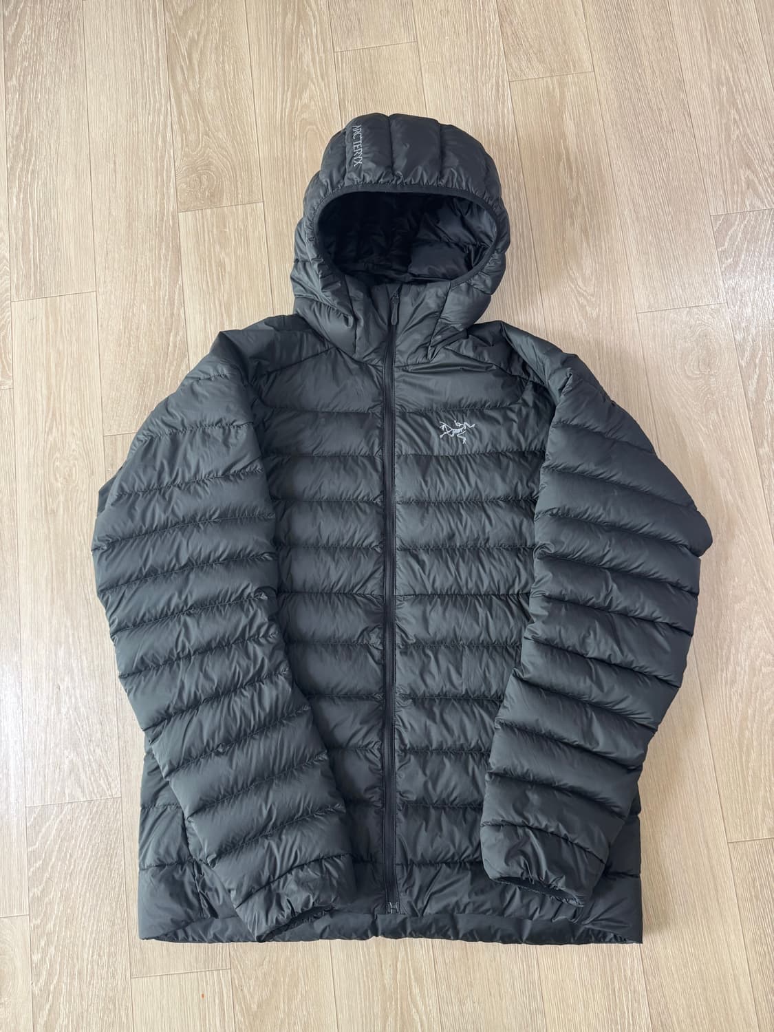 L 아크테릭스 세륨 후디 패딩 블랙 상품이미지1