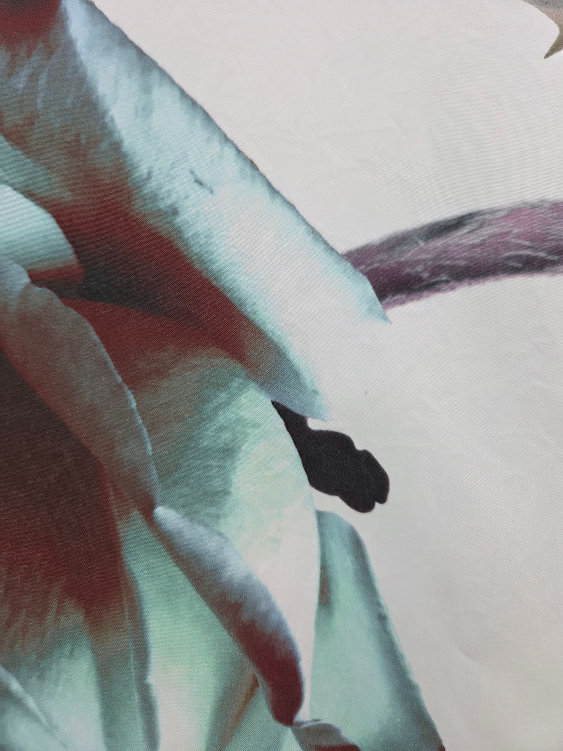 38 아크네스튜디오 플라워 프린팅 튜닉 블라우스 상품이미지5