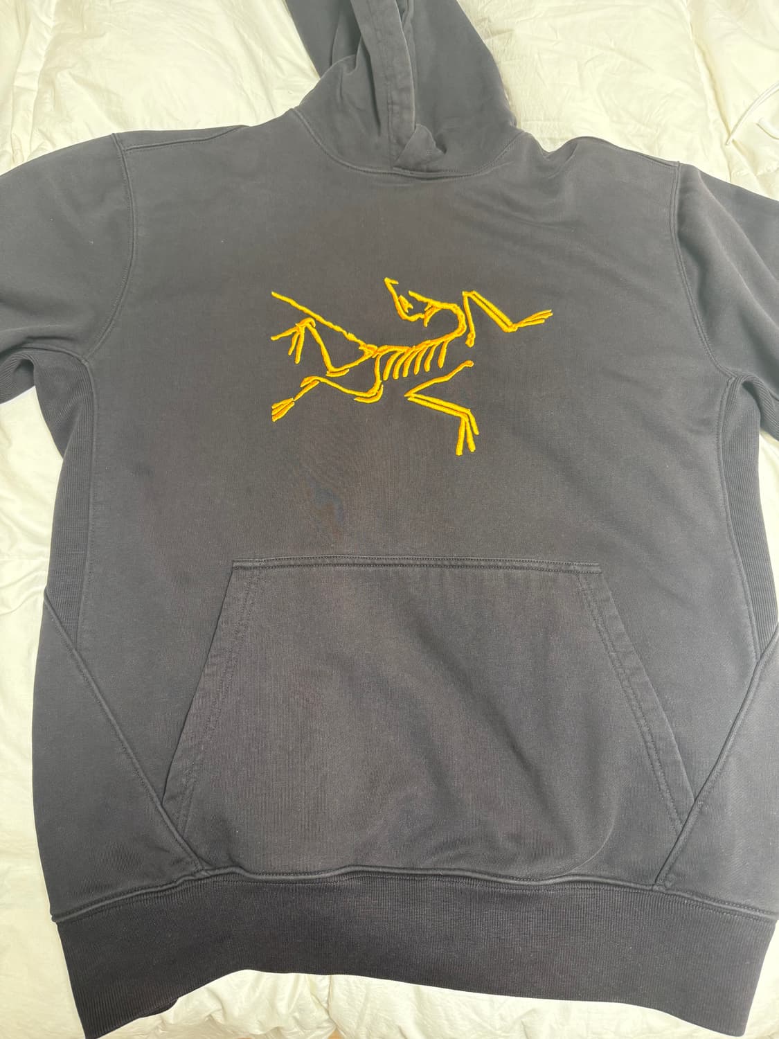 (L) 팔라스 아크테릭스 후드 블랙 상품이미지1