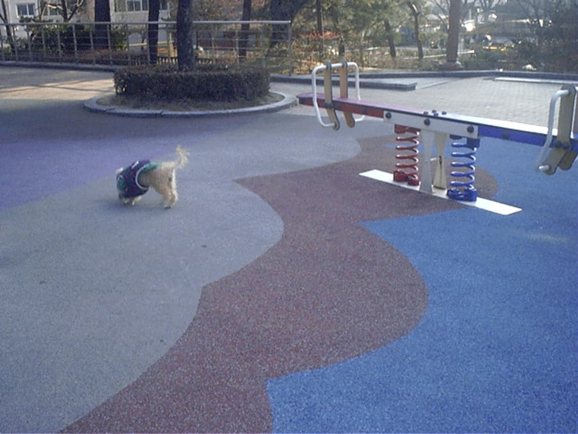 삼성 디지맥스 130 디지털카메라 상품이미지10