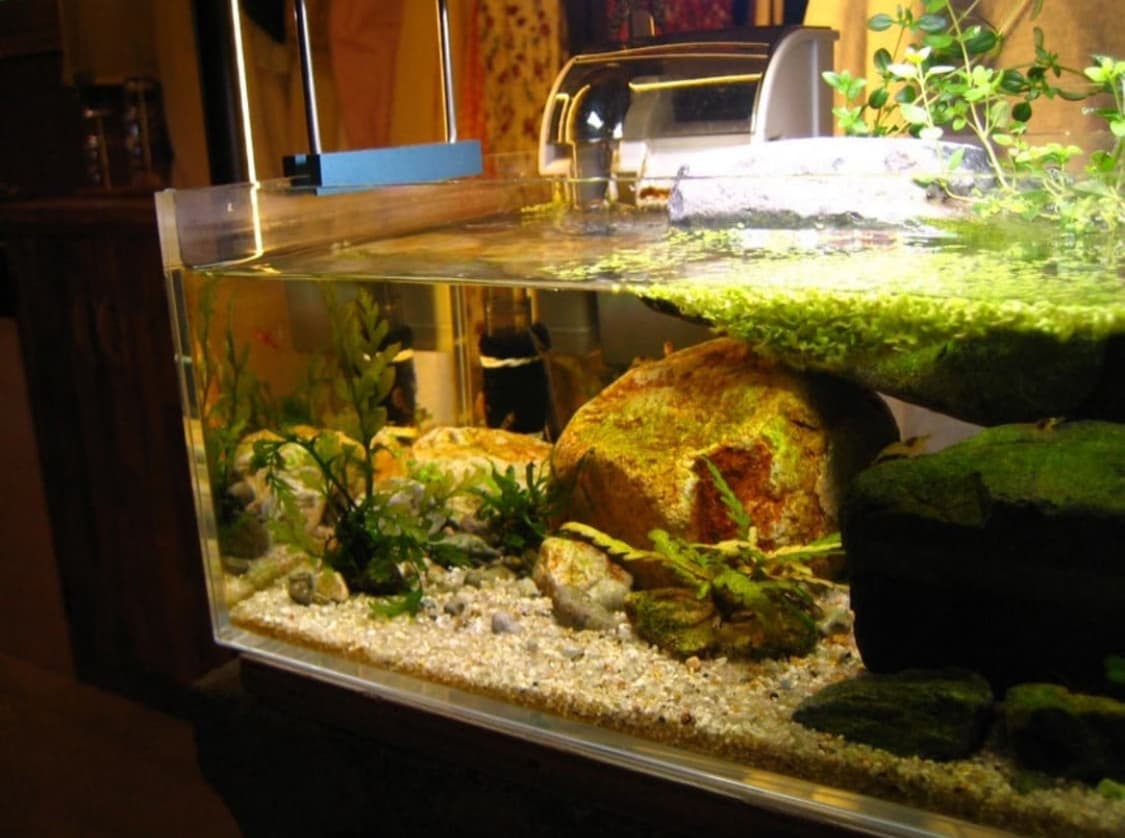 바로사용가능!!) 캐논익서스 40 ixus40 ixy50 상품이미지6