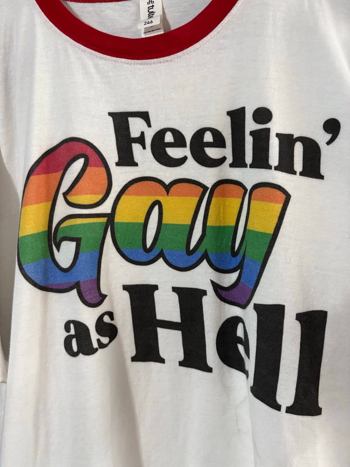 00‘s Tultex Feelin' Gay as Hell Ringer T 상품이미지2