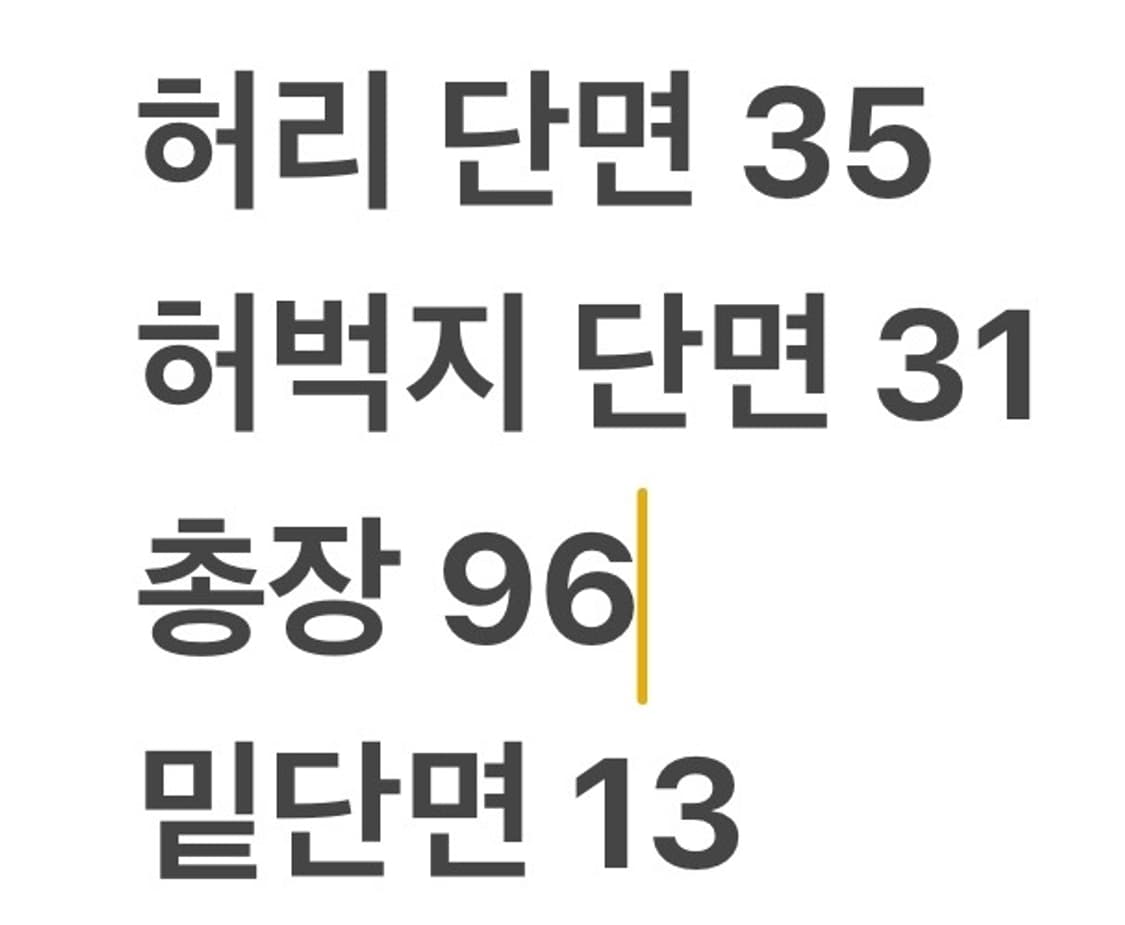 [정품/90] 스노우피크 카고 조거 팬츠 b14 상품이미지7
