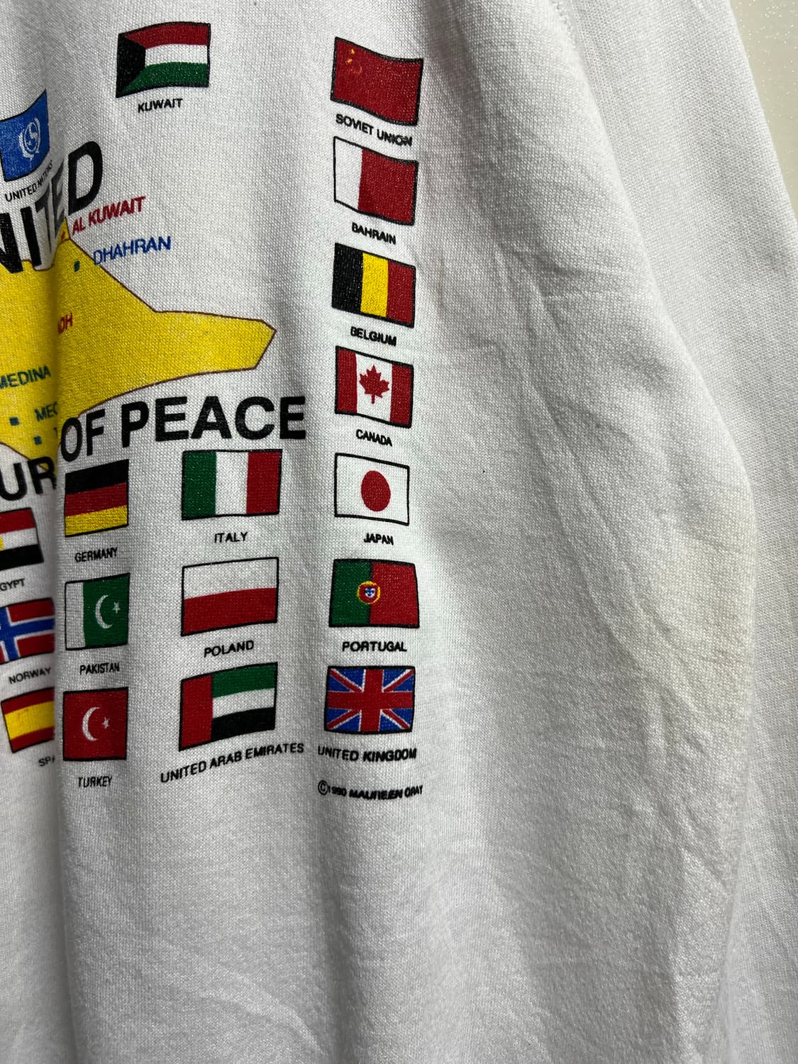 빈티지 헤인즈 오퍼레이션 데저트 스웻셔츠 상품이미지7