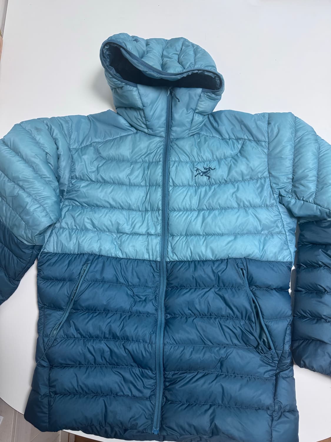 아크테릭스 세륨 후디 서린 솔레스 M 상품이미지2