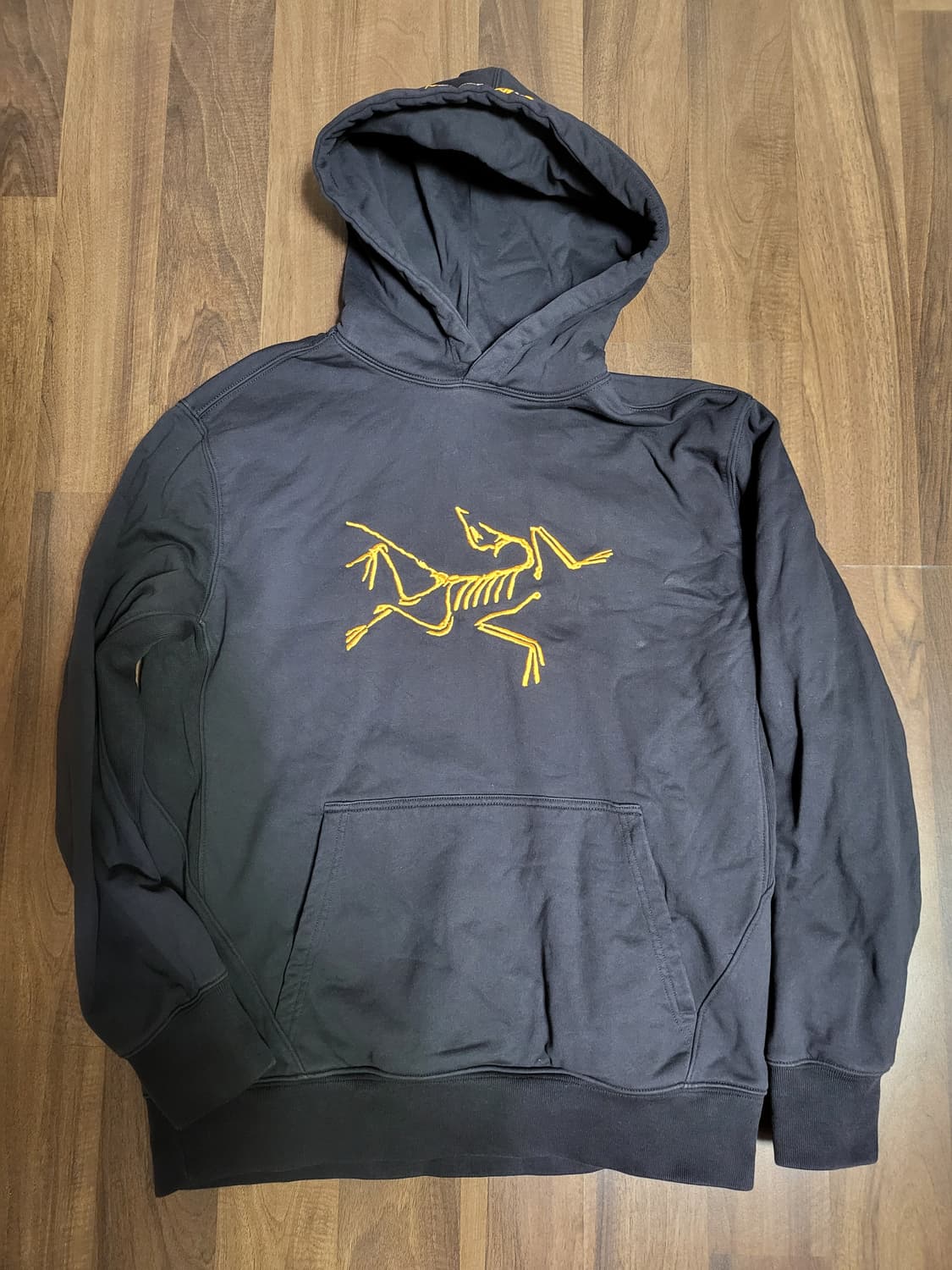 아크테릭스X팔라스 후드티 상품이미지1