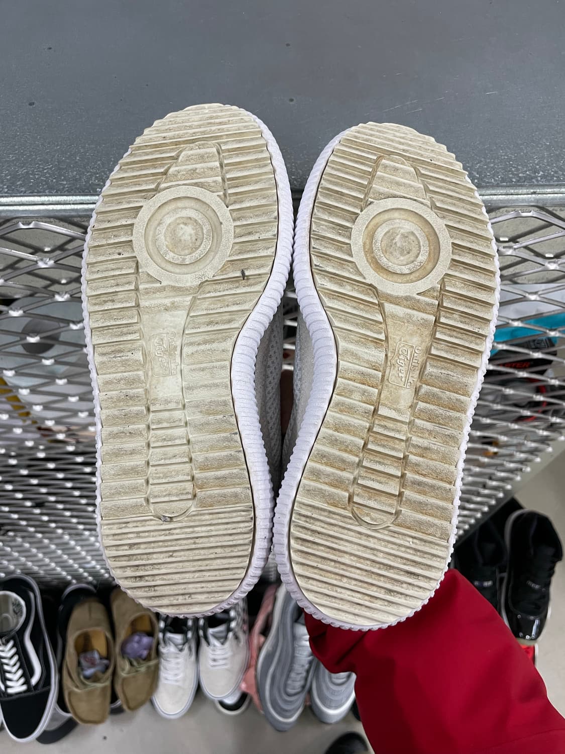 오니즈카 타이거 델리시티 메쉬 240 상품이미지6