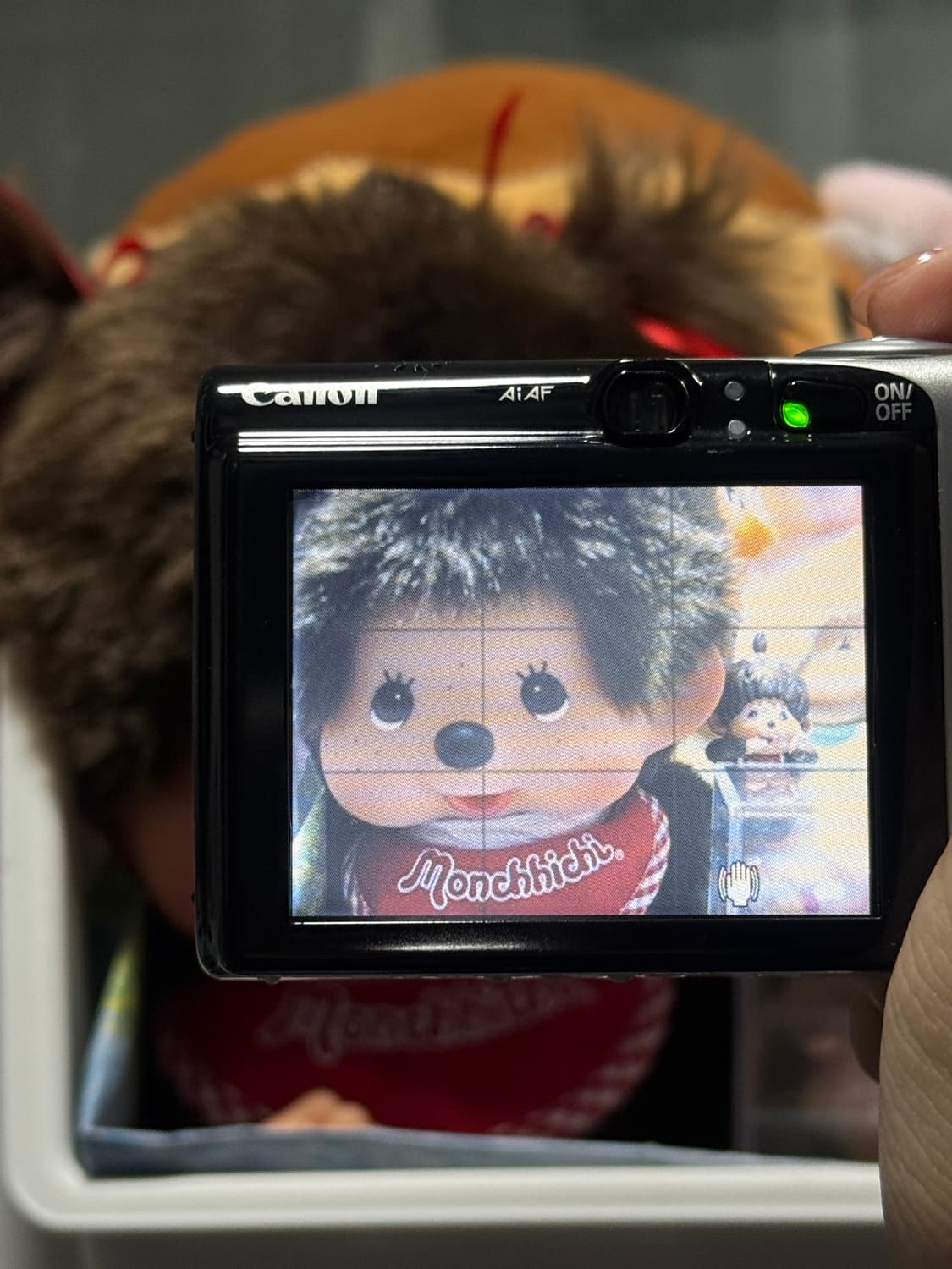 캐논 익시 800 IS 익서스 상품이미지6