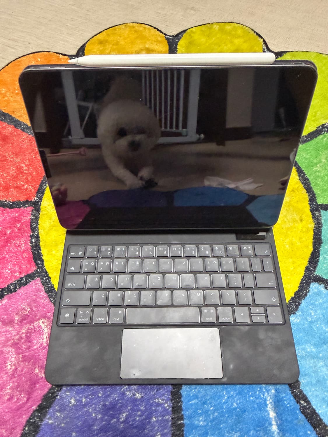 디젤 블랙 집업 맨투맨  상품이미지6