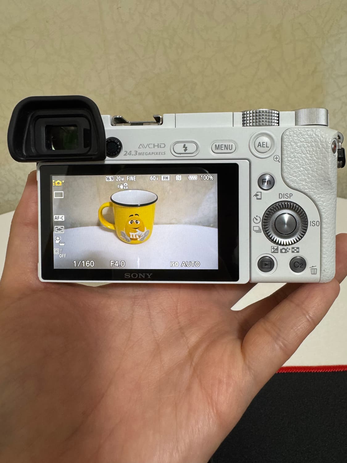 [새상품급] 소니 미러리스 A6000 상품이미지3