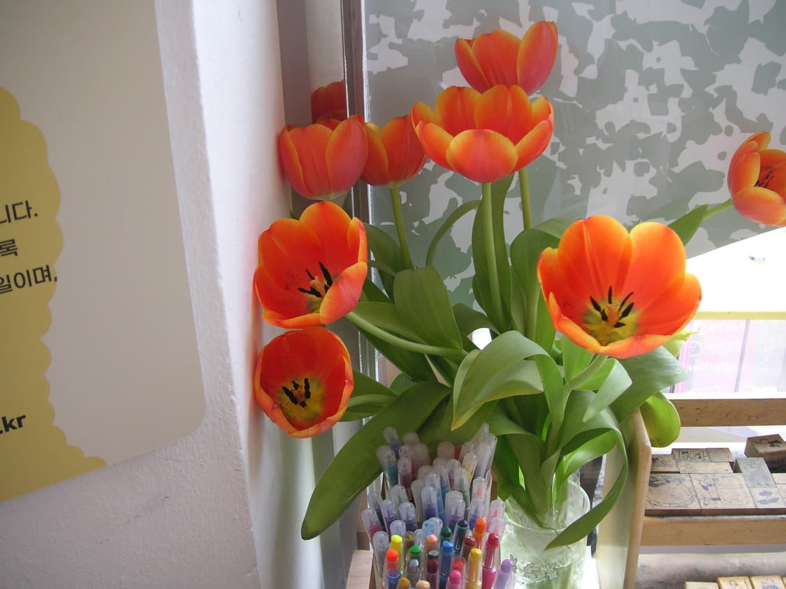 코니카 미놀타 디미지 x50 판매 상품이미지10