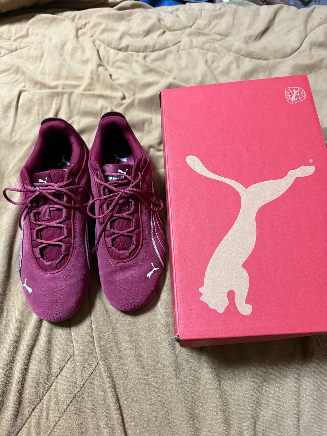 [275] 푸마 캐치 솔레일 버건디색 팝니다 상품이미지1