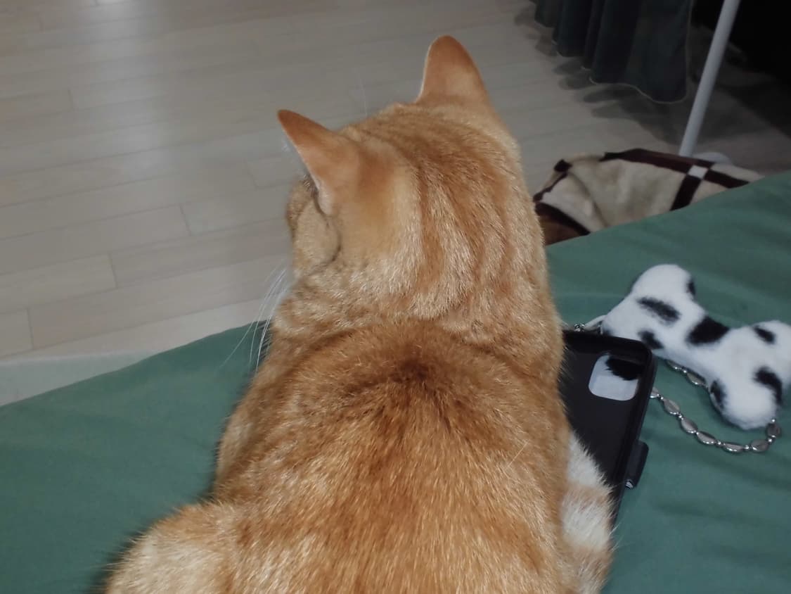 카시오 exilim ex-zs29 디지털카메라 빈티지디카 엑슬림 상품이미지9