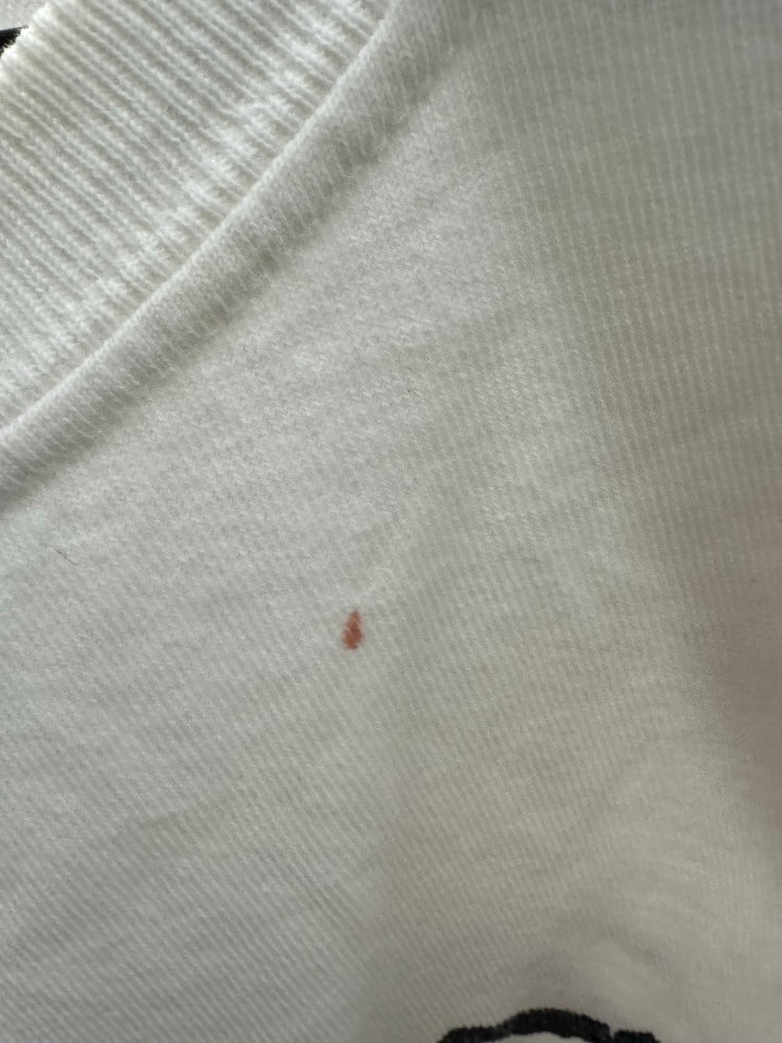 스투시 월드투어 반팔티 L 상품이미지5